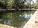 7.小池(女池)